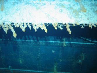 Concealment flap for above-water torpedo tubes on stbd side